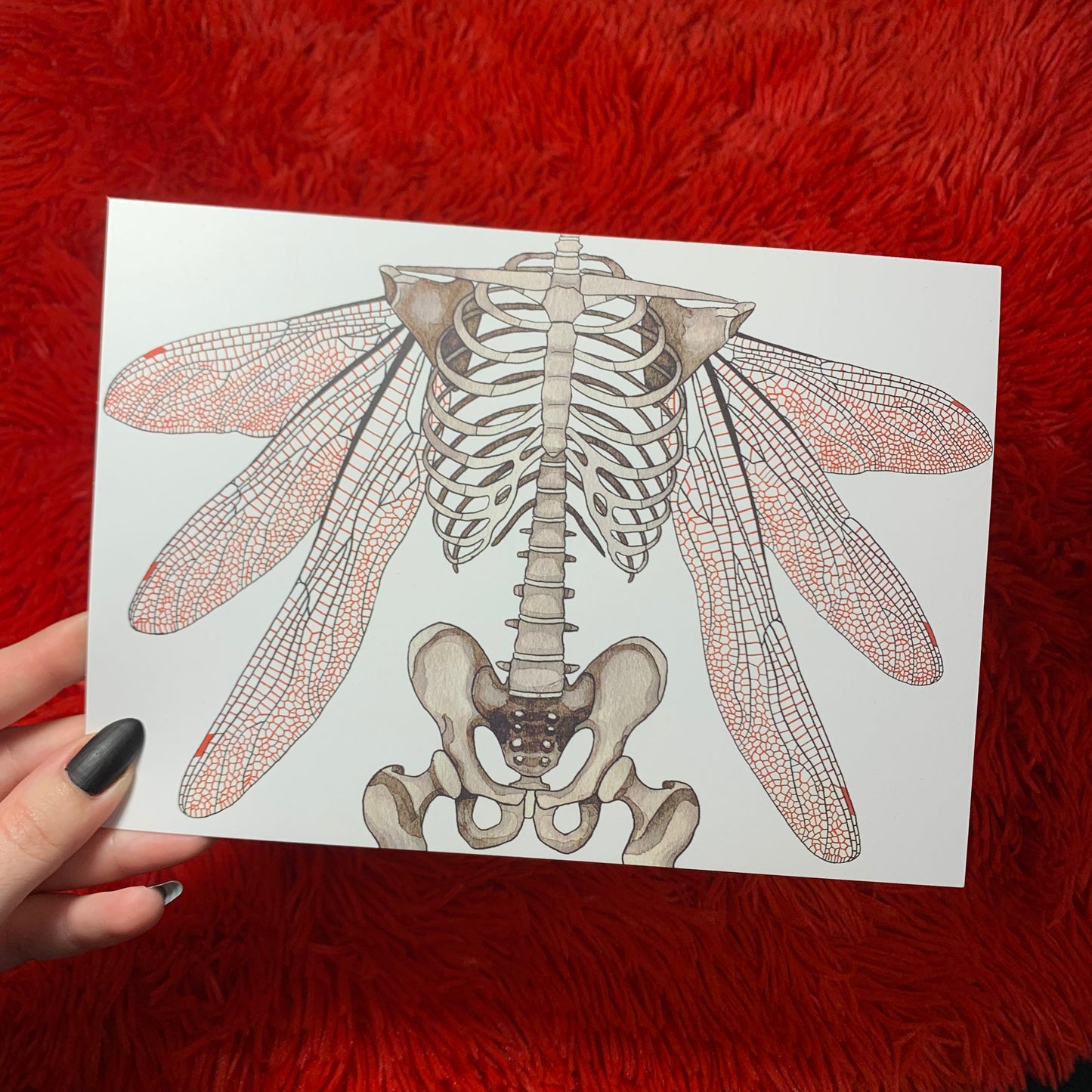 Print - Winged Skeleton